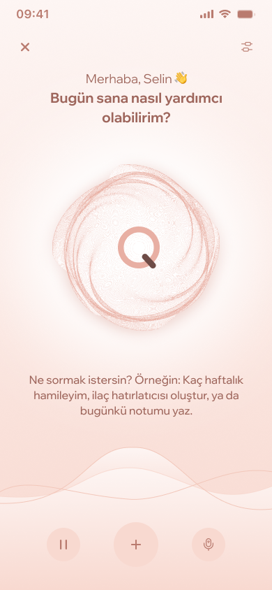 Binqy voice assistant